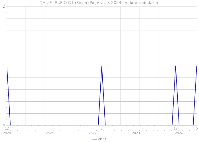 DANIEL RUBIO GIL (Spain) Page visits 2024 