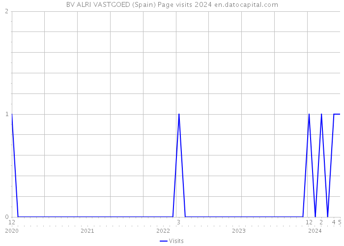 BV ALRI VASTGOED (Spain) Page visits 2024 