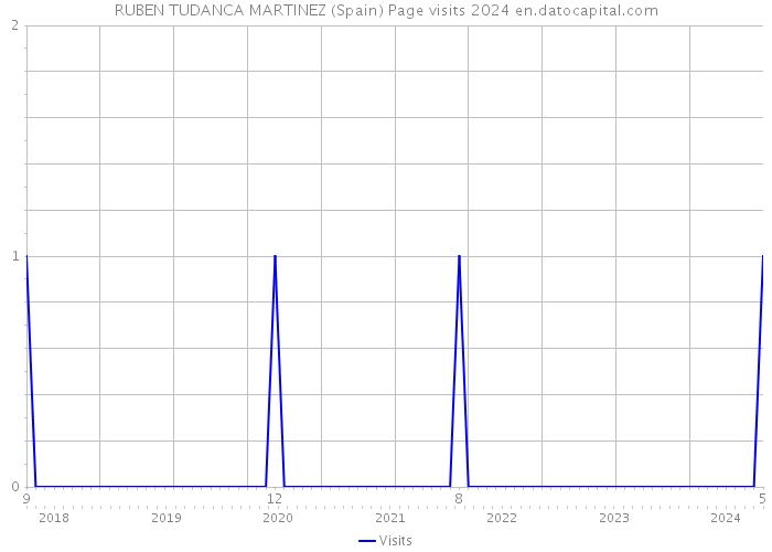 RUBEN TUDANCA MARTINEZ (Spain) Page visits 2024 
