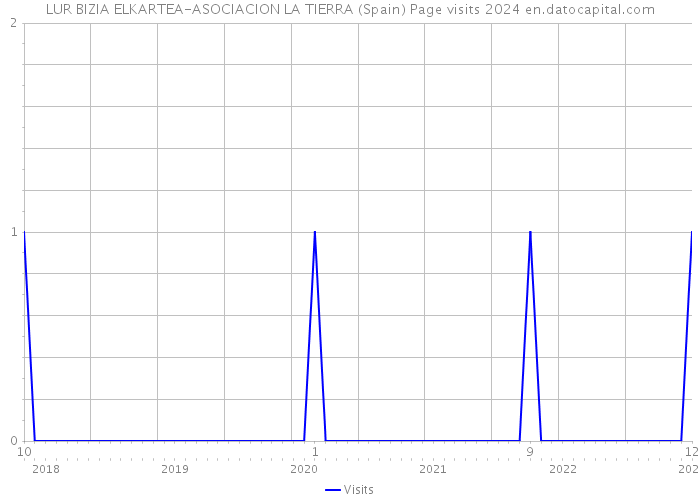 LUR BIZIA ELKARTEA-ASOCIACION LA TIERRA (Spain) Page visits 2024 