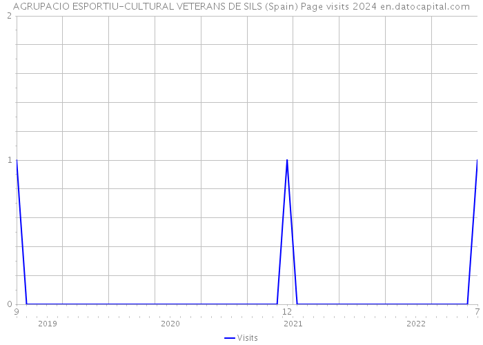 AGRUPACIO ESPORTIU-CULTURAL VETERANS DE SILS (Spain) Page visits 2024 