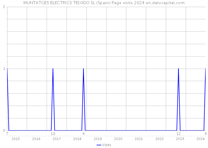 MUNTATGES ELECTRICS TEIXIDO SL (Spain) Page visits 2024 