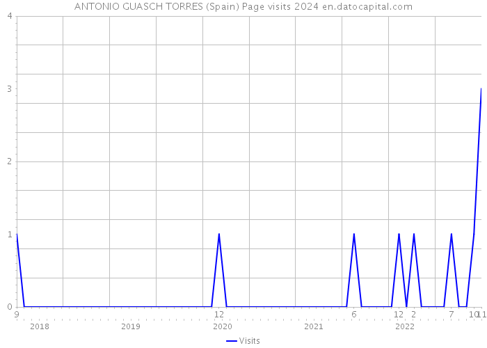 ANTONIO GUASCH TORRES (Spain) Page visits 2024 