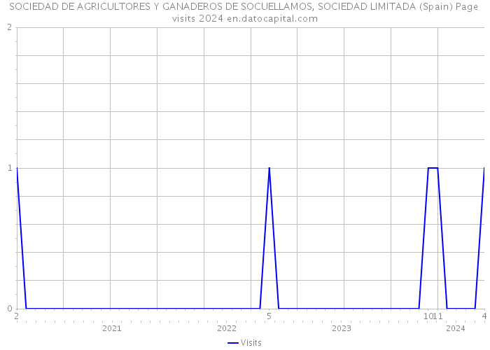 SOCIEDAD DE AGRICULTORES Y GANADEROS DE SOCUELLAMOS, SOCIEDAD LIMITADA (Spain) Page visits 2024 