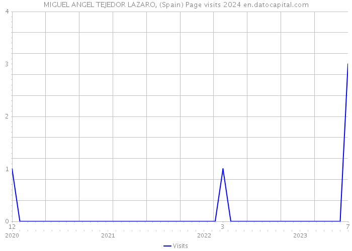 MIGUEL ANGEL TEJEDOR LAZARO, (Spain) Page visits 2024 