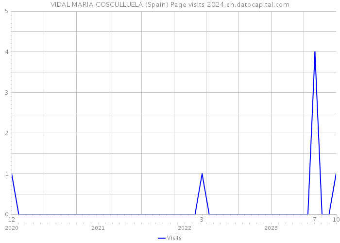 VIDAL MARIA COSCULLUELA (Spain) Page visits 2024 