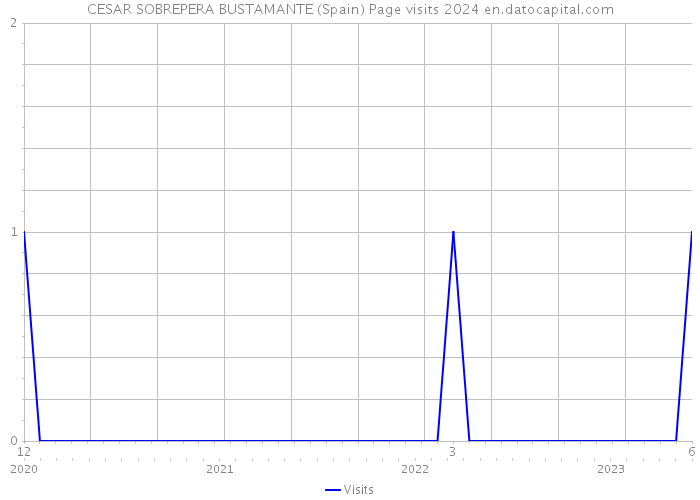 CESAR SOBREPERA BUSTAMANTE (Spain) Page visits 2024 