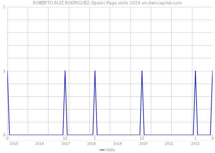 ROBERTO RUIZ RODRIGUEZ (Spain) Page visits 2024 