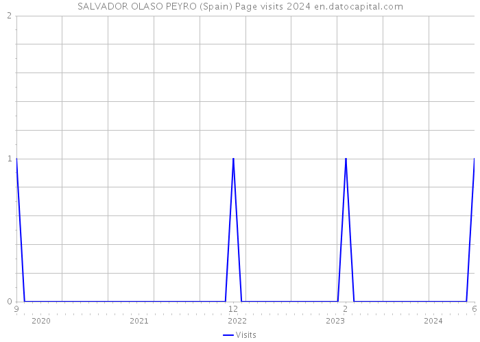 SALVADOR OLASO PEYRO (Spain) Page visits 2024 
