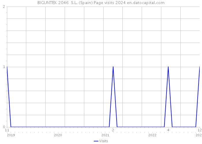 BIGUNTEK 2046 S.L. (Spain) Page visits 2024 