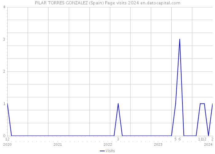 PILAR TORRES GONZALEZ (Spain) Page visits 2024 