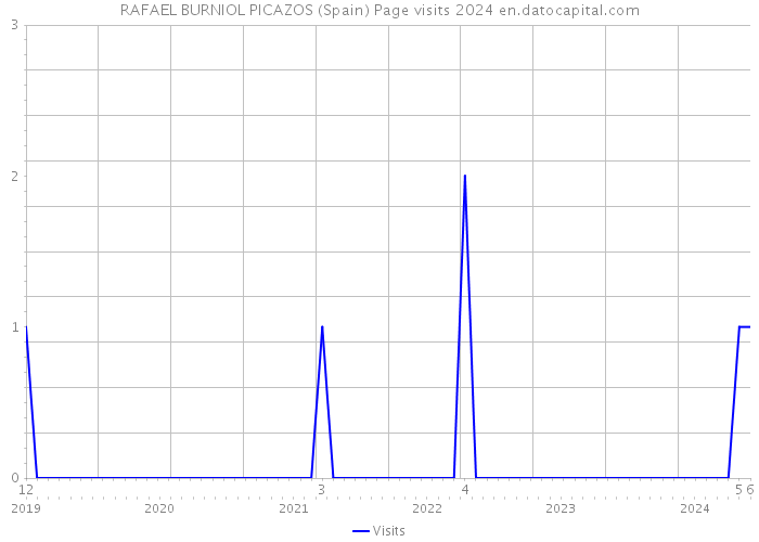 RAFAEL BURNIOL PICAZOS (Spain) Page visits 2024 