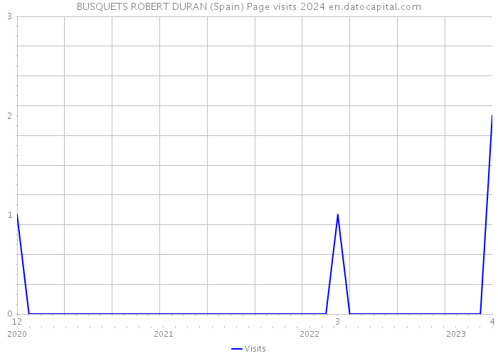 BUSQUETS ROBERT DURAN (Spain) Page visits 2024 