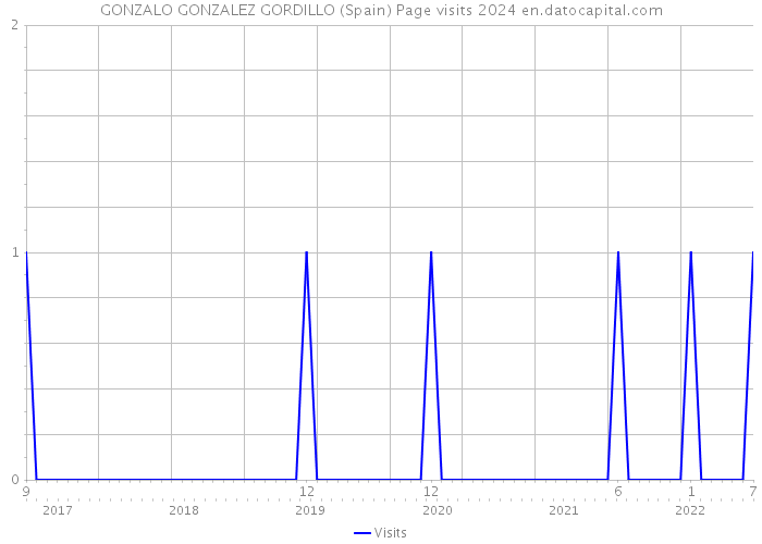 GONZALO GONZALEZ GORDILLO (Spain) Page visits 2024 