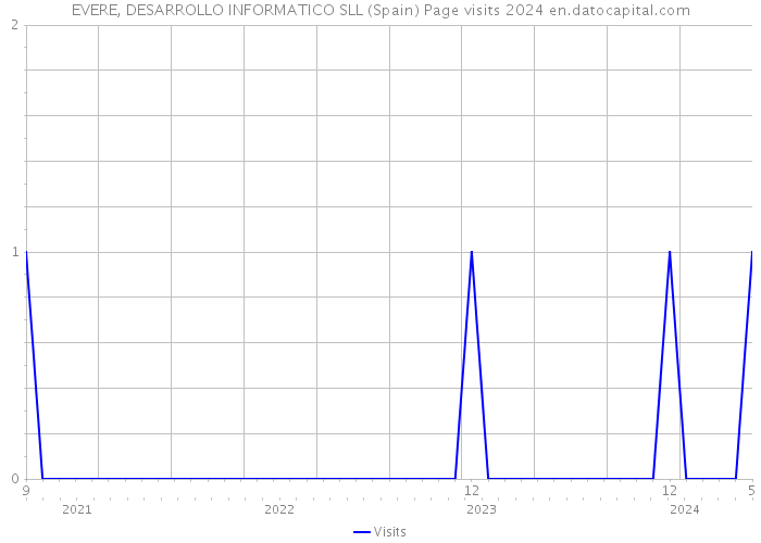 EVERE, DESARROLLO INFORMATICO SLL (Spain) Page visits 2024 