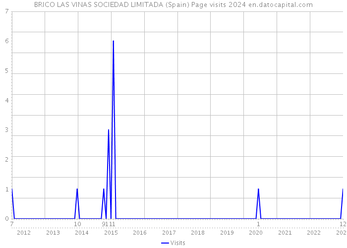 BRICO LAS VINAS SOCIEDAD LIMITADA (Spain) Page visits 2024 