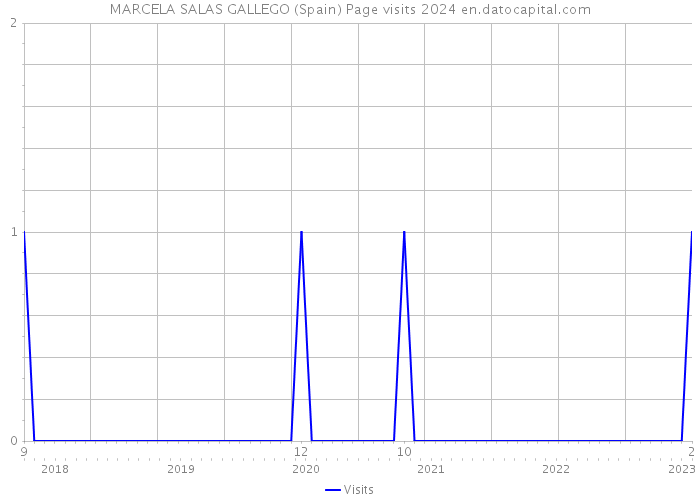 MARCELA SALAS GALLEGO (Spain) Page visits 2024 