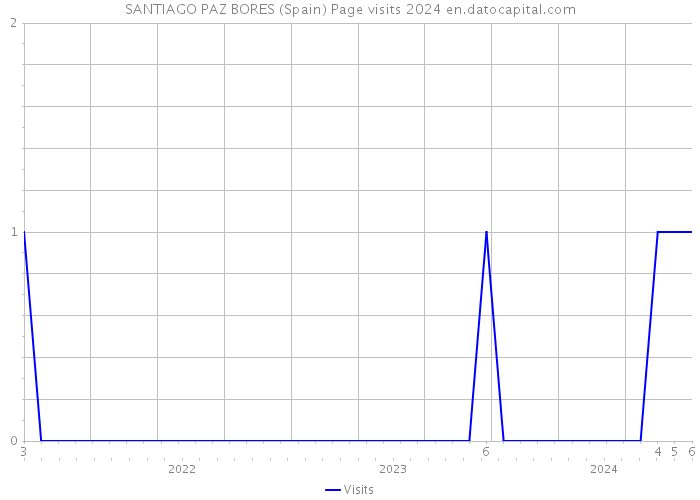 SANTIAGO PAZ BORES (Spain) Page visits 2024 