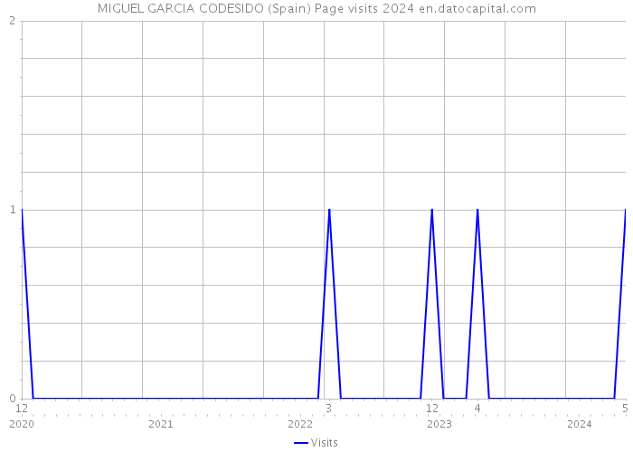 MIGUEL GARCIA CODESIDO (Spain) Page visits 2024 