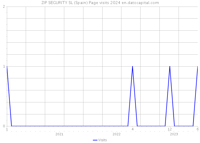 ZIP SEGURITY SL (Spain) Page visits 2024 