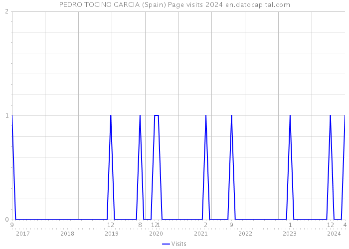 PEDRO TOCINO GARCIA (Spain) Page visits 2024 