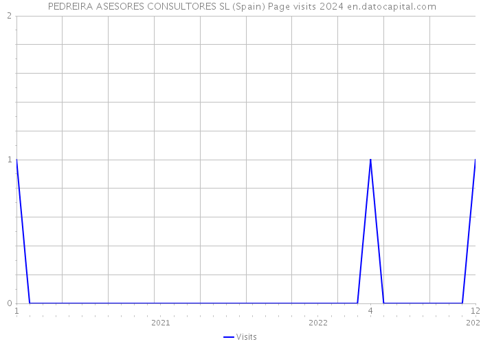  PEDREIRA ASESORES CONSULTORES SL (Spain) Page visits 2024 