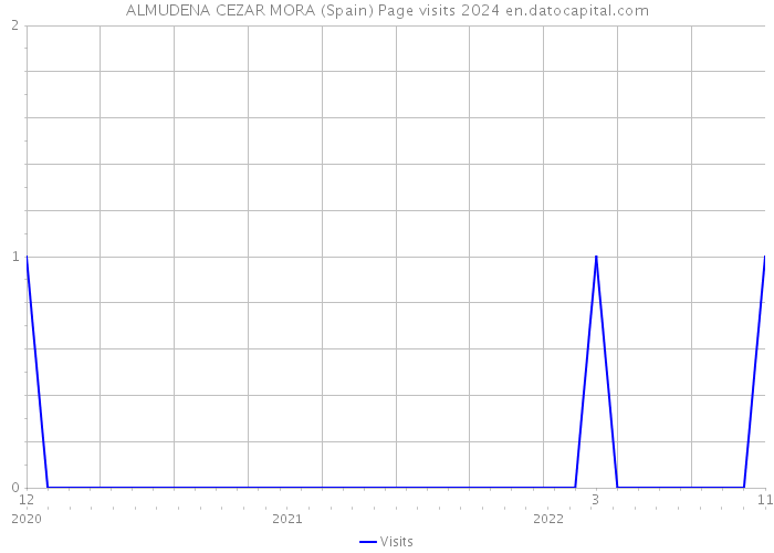 ALMUDENA CEZAR MORA (Spain) Page visits 2024 