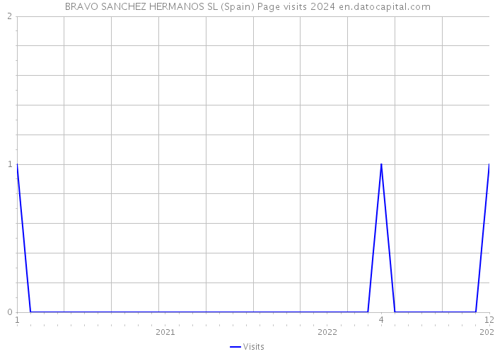 BRAVO SANCHEZ HERMANOS SL (Spain) Page visits 2024 