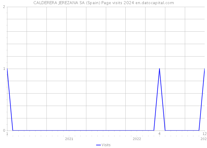 CALDERERA JEREZANA SA (Spain) Page visits 2024 