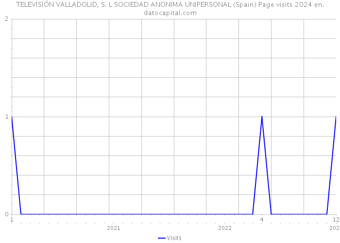 TELEVISIÓN VALLADOLID, S. L SOCIEDAD ANONIMA UNIPERSONAL (Spain) Page visits 2024 