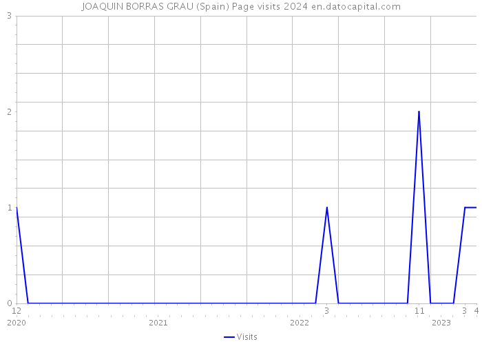 JOAQUIN BORRAS GRAU (Spain) Page visits 2024 