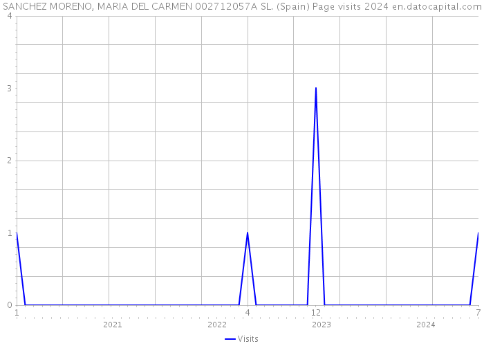 SANCHEZ MORENO, MARIA DEL CARMEN 002712057A SL. (Spain) Page visits 2024 