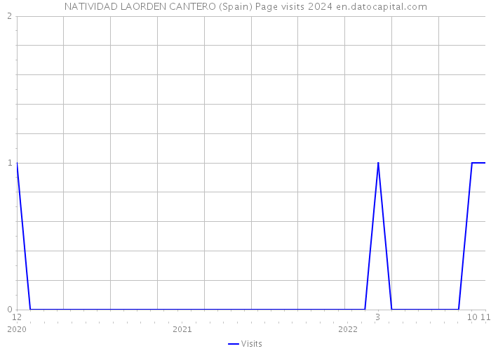 NATIVIDAD LAORDEN CANTERO (Spain) Page visits 2024 