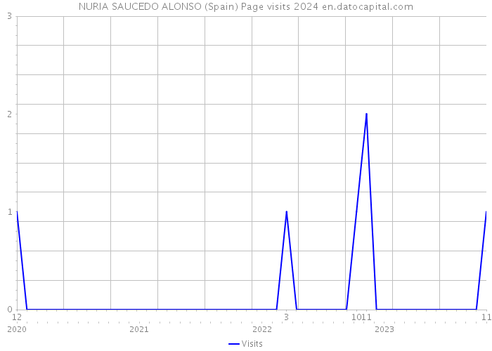 NURIA SAUCEDO ALONSO (Spain) Page visits 2024 