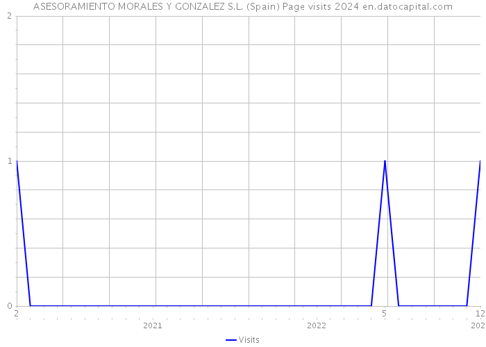 ASESORAMIENTO MORALES Y GONZALEZ S.L. (Spain) Page visits 2024 