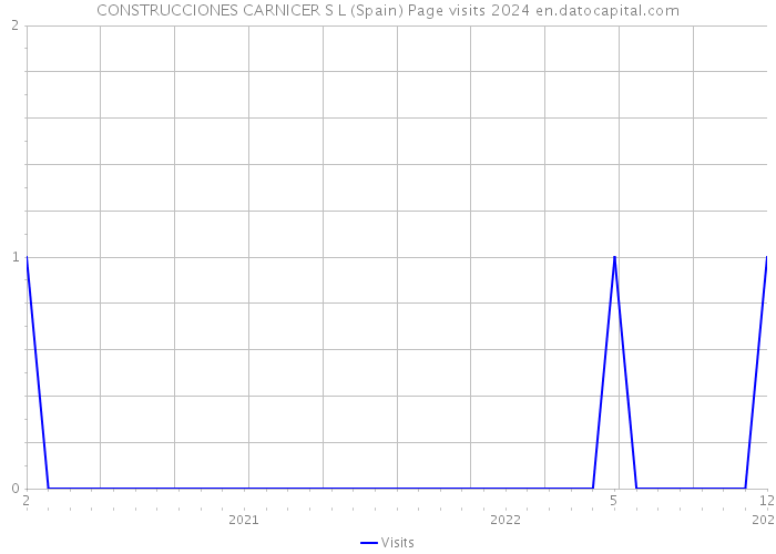 CONSTRUCCIONES CARNICER S L (Spain) Page visits 2024 