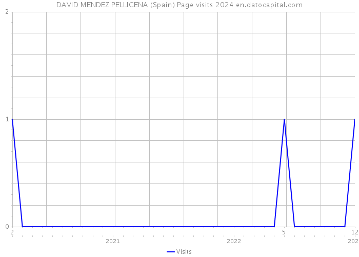 DAVID MENDEZ PELLICENA (Spain) Page visits 2024 