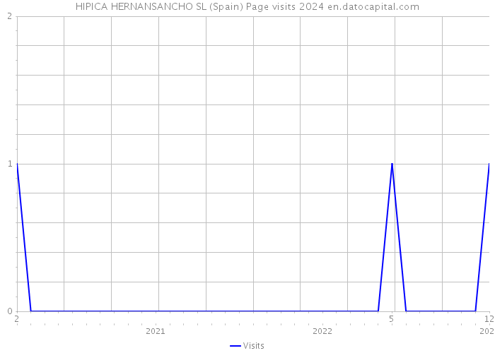 HIPICA HERNANSANCHO SL (Spain) Page visits 2024 