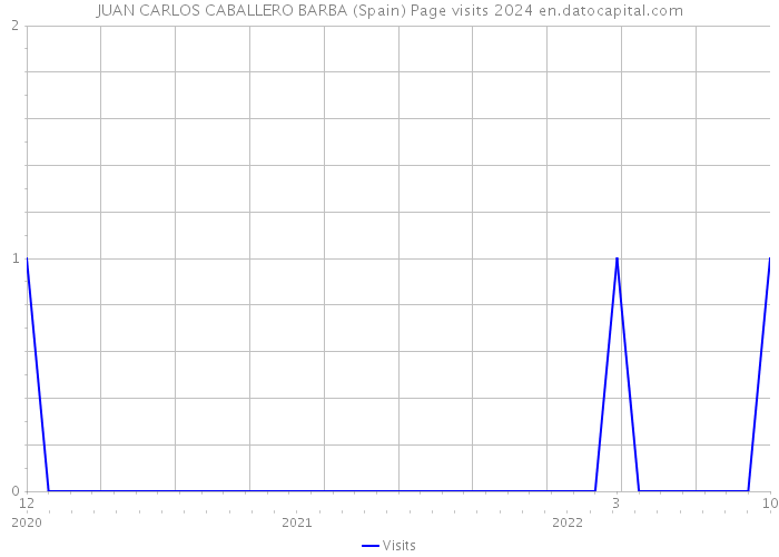 JUAN CARLOS CABALLERO BARBA (Spain) Page visits 2024 