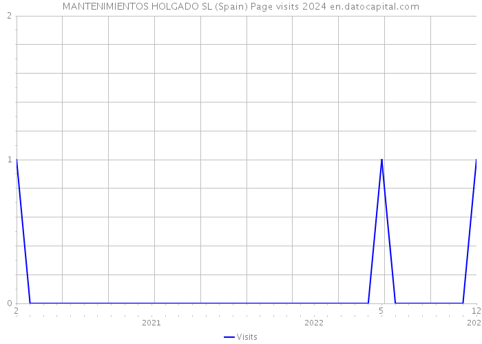 MANTENIMIENTOS HOLGADO SL (Spain) Page visits 2024 