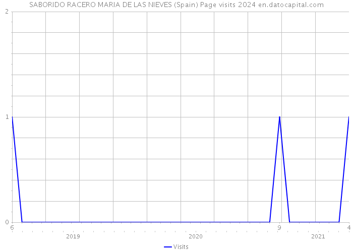 SABORIDO RACERO MARIA DE LAS NIEVES (Spain) Page visits 2024 