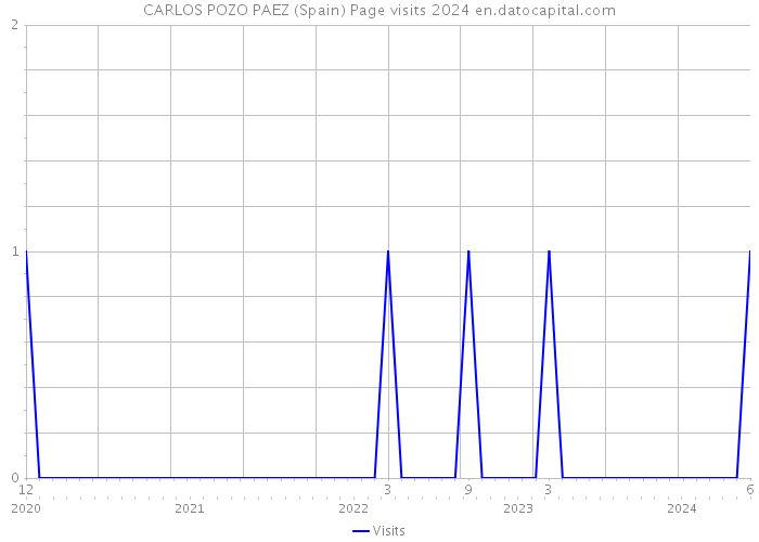 CARLOS POZO PAEZ (Spain) Page visits 2024 