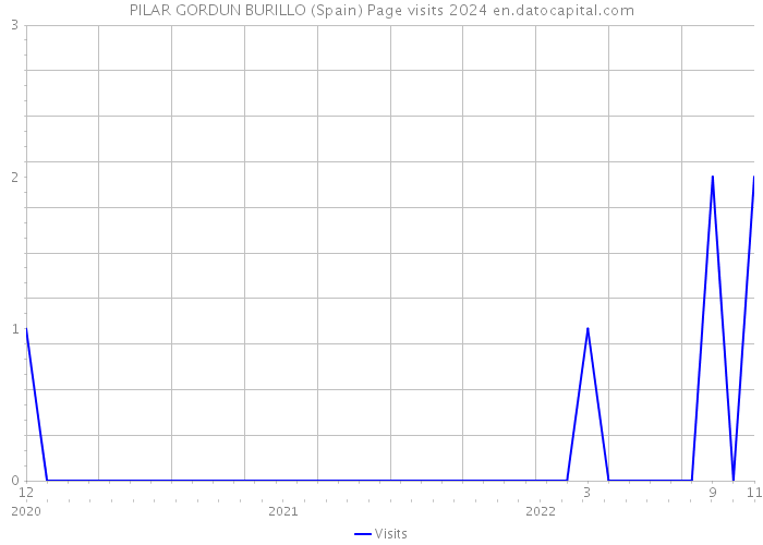 PILAR GORDUN BURILLO (Spain) Page visits 2024 
