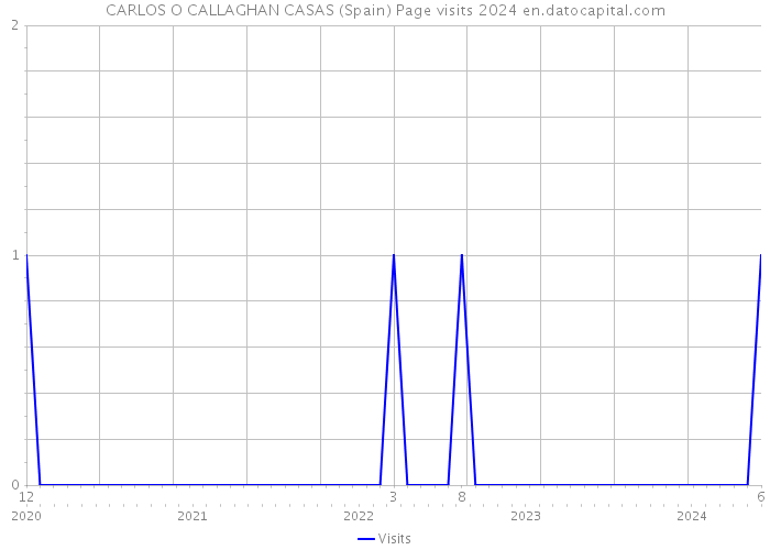 CARLOS O CALLAGHAN CASAS (Spain) Page visits 2024 