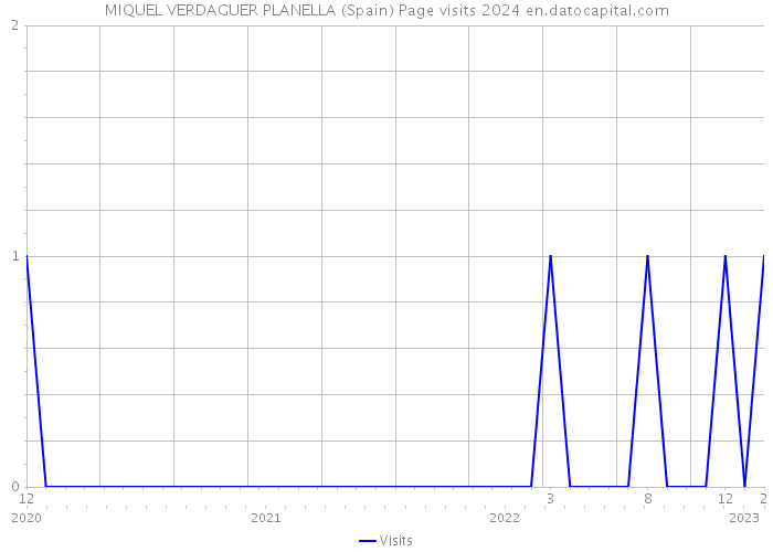MIQUEL VERDAGUER PLANELLA (Spain) Page visits 2024 