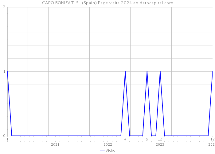 CAPO BONIFATI SL (Spain) Page visits 2024 