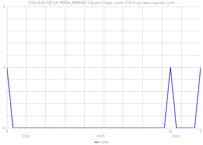 JOAQUIN DE LA PEÑA JIMENEZ (Spain) Page visits 2024 