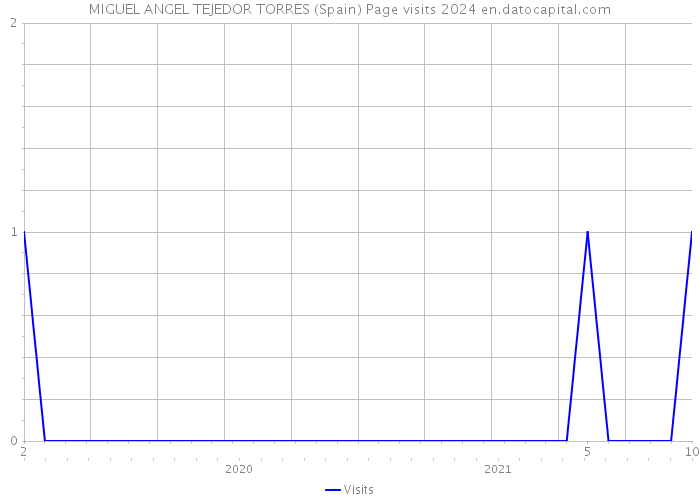 MIGUEL ANGEL TEJEDOR TORRES (Spain) Page visits 2024 