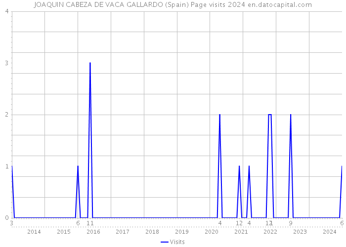 JOAQUIN CABEZA DE VACA GALLARDO (Spain) Page visits 2024 