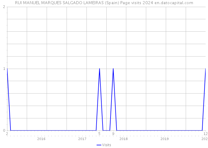 RUI MANUEL MARQUES SALGADO LAMEIRAS (Spain) Page visits 2024 